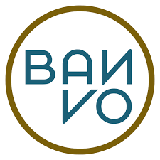 logo Banvo